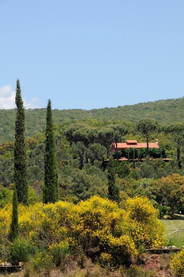 Villa La Stella Casa Giannetto Exterior photo